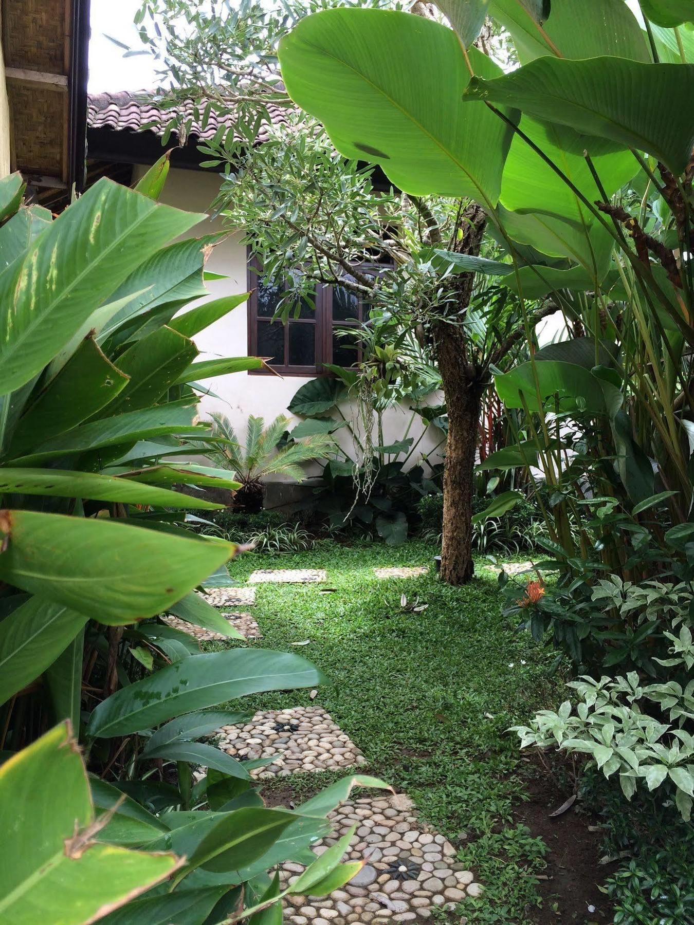 Uma Dewi Guest House Ubud Exteriér fotografie